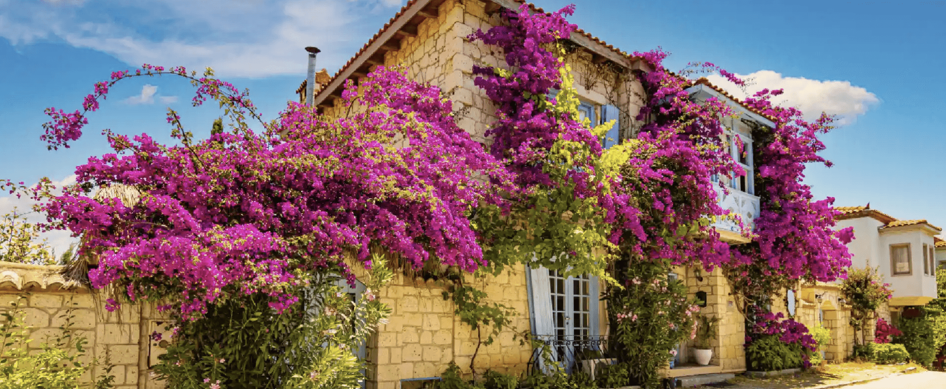 Şirince & Alaçatı: Tarih, Estetik ve Nostalji